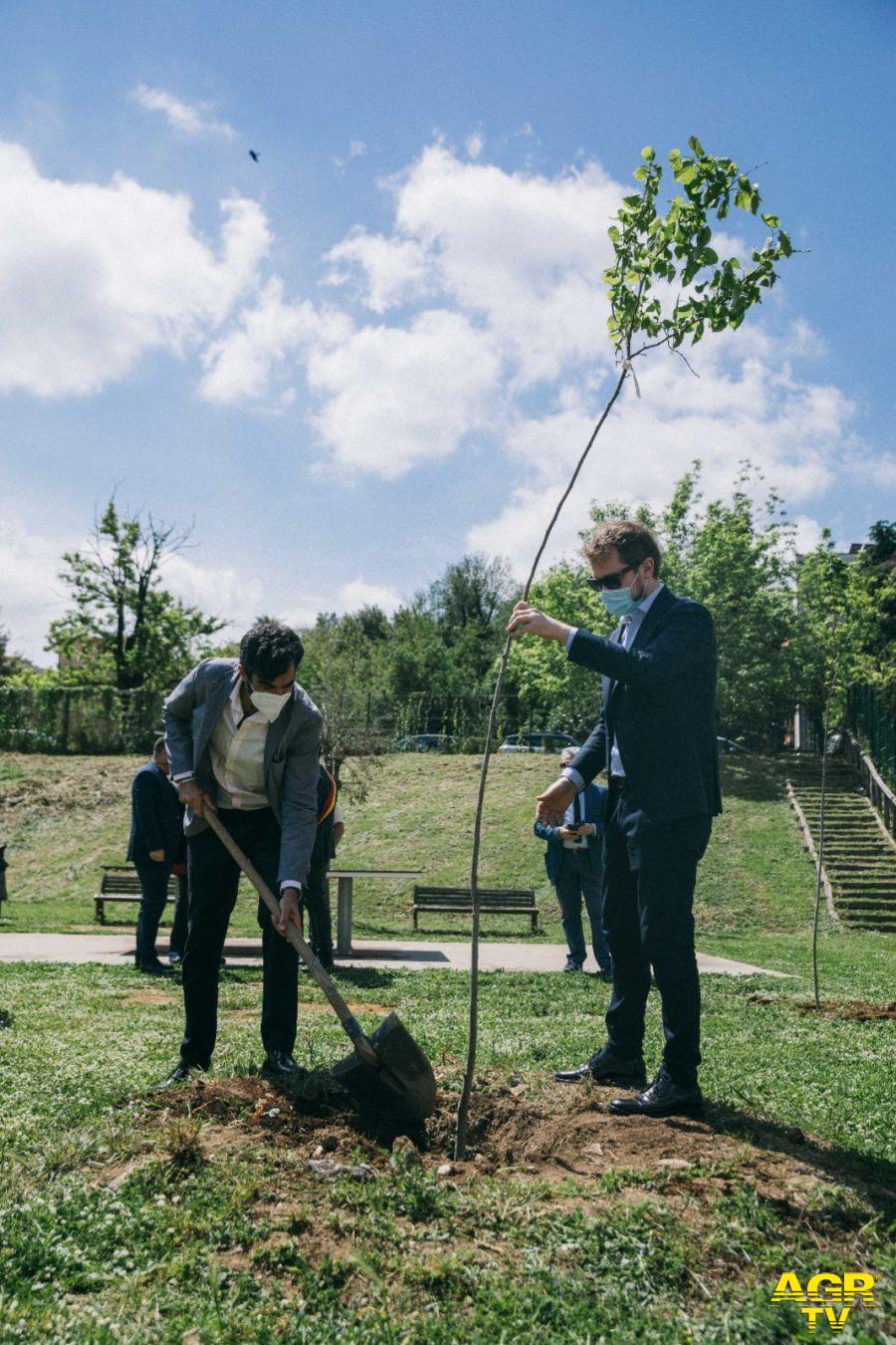 Duemila nuovi alberi piantati a Roma, nascono i boschetti anti-smog Duemila nuovi alberi piantati a Roma, nascono i boschetti anti-smog