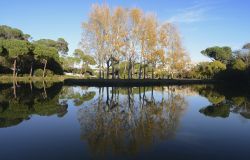 Roma, alla scoperta dei parchi e giardini della città