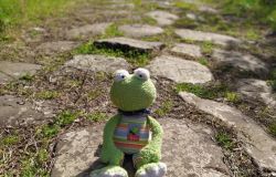 Piccoli legionari sulla via Severiana....una passeggiata nella storia