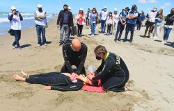 Ostia, defibrillatori in ogni postazione di salvataggio e bagnini a quattro zampe, litorale più sicuro