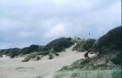 Pomezia, approvato il piano di tutela delle dune costiere