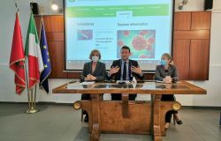 Sportello Unico Attività Produttive, Fiumicino comune all'avanguardia