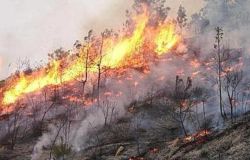 Incendio Argentario, fiamme in fase di contenimento