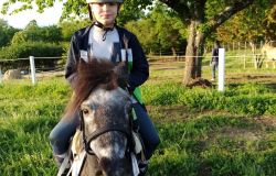 Bassano in Teverina, il cavallo che passione...nasce la scuola d'equitazione La Marasca