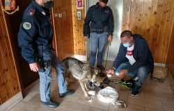 Tor Bella Monaca, la cocaina prende l'ascensore....cane poliziotto fiuta involucro con 800 grammi