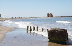 Torre Flavia, protezione del Monumento Naturale ed il suo Fratino, l'ultima sfida della farmacia solidale Salvo D'Acquisto