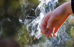 CODACONS: stop alle morti, estendere il divieto di fumo in tutti i luoghi pubblici anche all'aperto
