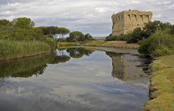 Oasi WWF 2021, il 5 e 6 giugno si festeggiano in tutt'Italia