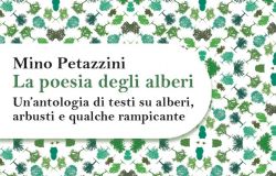 “La poesia degli alberi”: l’antologia di Mino Petazzini all’Auditorium Parco della Musica