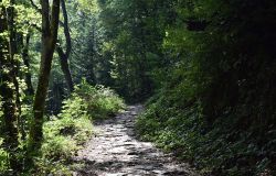 In bici sulle vie Imperiali, ciclotour solidale a tappe per la ricerca sui tumori cerebrali in età pediatrica