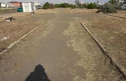 Cosa sarebbe successo se la pista ciclabile di Ostia fosse sorta nell'area verde davanti al Lungomare Lutazio Catulo?