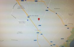 AREA DELLE RICERCHE