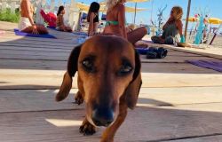 Maccarese, al Baubeach il Festival dello Yoga