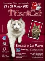 Titanicat,la festa del gatto Titanicat,la festa del gatto
