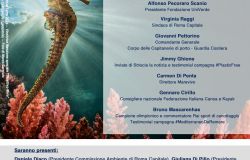 Mediterraneo da remare, prima tappa al porto turistico di Ostia dell'edizione 2021