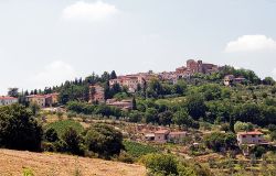 Infortunio mortale sul lavoro a Greve in Chianti