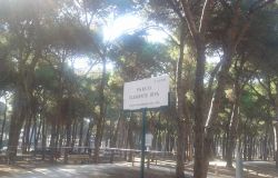 Ostia, il parco Clemente Riva compie dieci anni, sabato 10 luglio i festeggiamenti