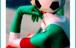 forza italia tifosi