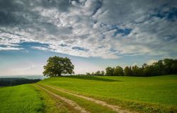 Inaugurata la Mostra fotografica “Obiettivo Terra: le Aree Protette del Lazio”, si potrà visitare fino al 12 settembre ad Euroma 2
