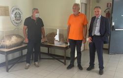 Fiumicino, le anfore romane recuperate dalla Polizia esposte in due teche nel Commissariato