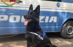 San Basilio. Lotta della Polizia di Stato alla vendita di sostanze stupefacenti