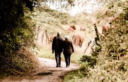 Oggi, 25 luglio, Prima Giornata Mondiale nonni e anziani