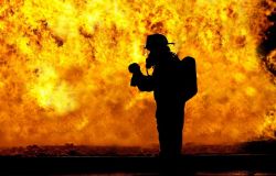 Incendi, la prevenzione e la gestione attiva del verde fondamentali per la protezione del patrimonio boschivo