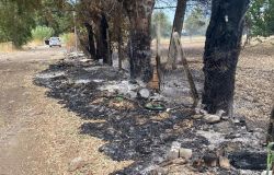 Infernetto, via Salorno, discarica in fiamme, FdI: subito la bonifica dell'arteria