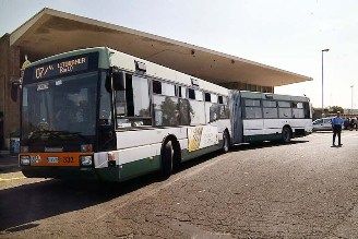 Al mare in bus dal primo maggio