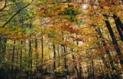 Il riscatto della terra, convegno a Frascati