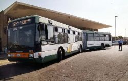 I Bus del mare sono inutili?