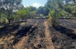 Accende fuoco nel bosco, denunciata una pensionata per incendio colposo