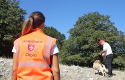 CISOM, l'impegno delle Unità cinofile al servizio della comunità