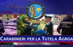 Agroalimentari, operazione origine, blitz dei carabinieri nel settore dei marchi di qualità