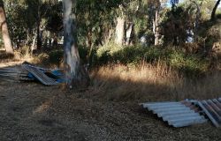 Ostia, lastre di Ethernit nella pineta delle acque rosse, allarme del Cdq