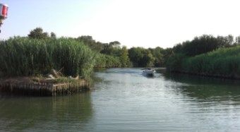 Itinerari ecoturistici sul Tevere