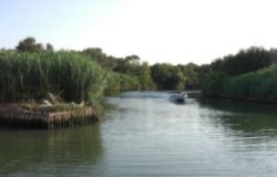 Itinerari ecoturistici sul Tevere