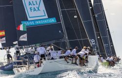 Selene Halifax in regata