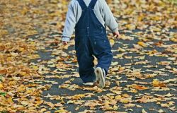 Ottobrate romane al Parco Labia tra atmosfere degli Anni ‘60, Oktober fest e attività per bambini e famiglie