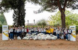 Marino, una giornata insieme per l'ambiente, raccolti 300 kg di rifiuti