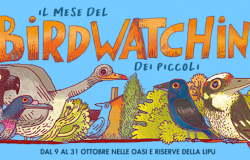 mese birdwatching locandina mese birdwatching locandina