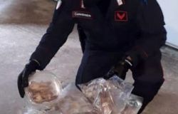 Delianuova (RC), strage di ghiri e produzione di cannabis, i Carabinieri arrestano tre persone