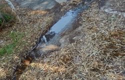 Aranova, saltano le fogne e i liquami invadono la strada