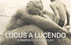 Lucus a lucendo copertina