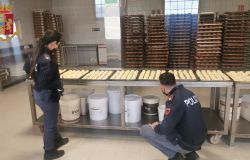 Casilino, due arresti per spaccio, chiesta la chiusura di due locali per topi ed insetti