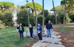 Fiumicino Villa Guglielmi raccolta rifiuti