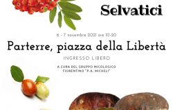 Mostra di Funghi e frutti selvatici al Parterre di piazza della Libertà sabato 6 e domenica 7 novembre