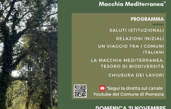Torvajanica, sul lungomare 50 palme nane messe a dimora per la Giornata Nazionale degli Alberi