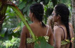 Amazzonia, fermiamo la deforestazione e la pandemia che minacciano i popoli indigeni
