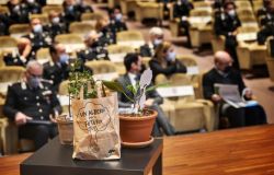Rivoluzione verde e transizione ecologica, patto tra Ministero e Arma dei Carabinieri